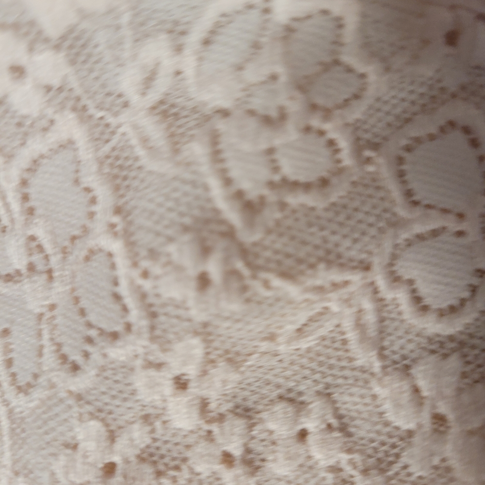 Old Navy Pink Lace Crop Chemise